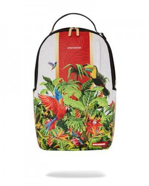 Multicolor Sprayground Flawless Flight (Dlxv) Backpacks | 35801-DUCR