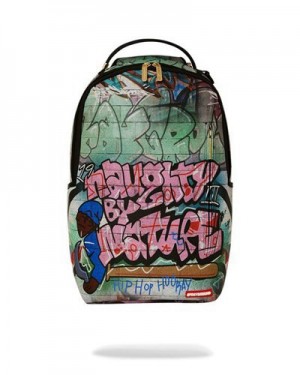 Multicolor Sprayground Naughty By Nature Hip Hop Hooray 30th Anniversary Collab Backpacks | 76820-CDKY