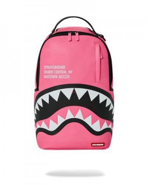 Pink Sprayground Shark Central (Dlxv) Backpacks | 03764-RDHL