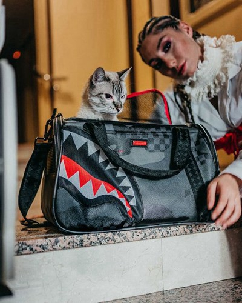 Black Sprayground 3am Pet Carrier Backpacks | 46138-GMVY