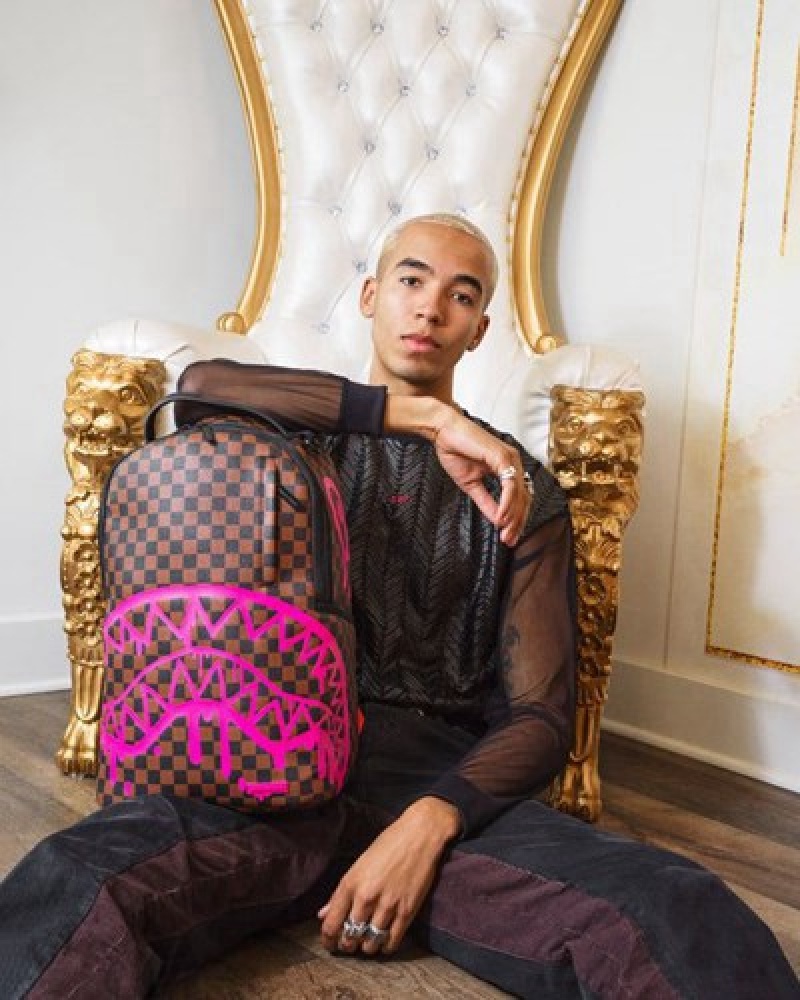 Brown Sprayground The Artists Touch (Dlxv) Backpacks | 92307-DHWI