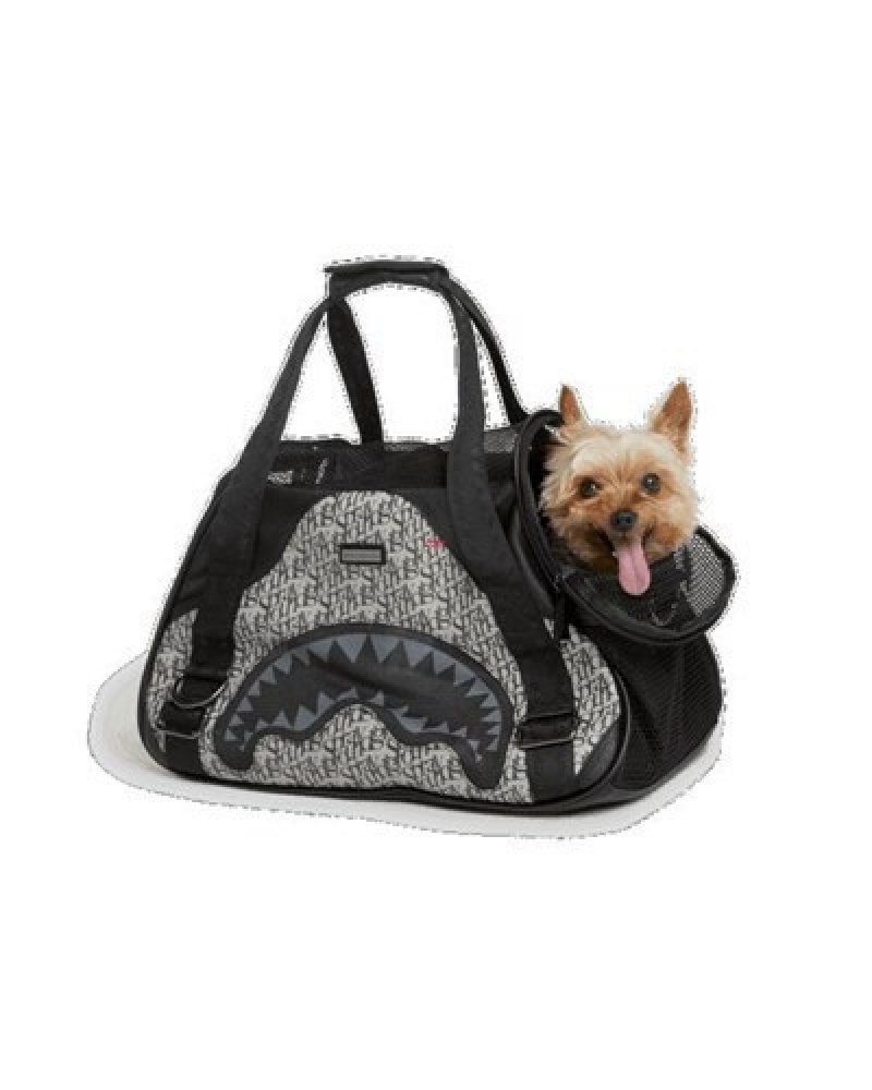 Grey / Black Sprayground Sg All Day Pet Carrier Backpacks | 25837-FVRA