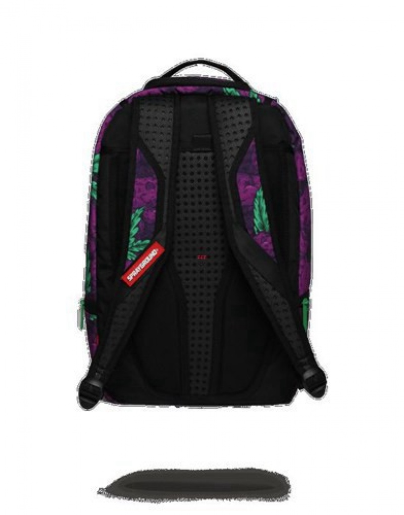 Purple Sprayground Queen Indica Backpacks | 32091-YGHN