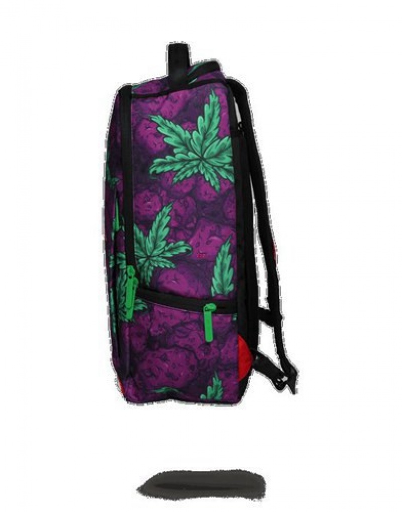 Purple Sprayground Queen Indica Backpacks | 32091-YGHN