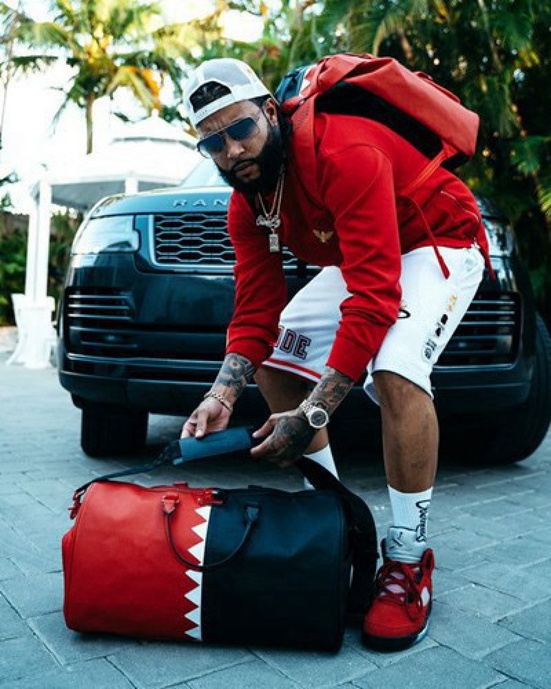 Red / Black Sprayground Vertical Shark Cut & Sew Hills Backpacks | 23015-AVFH